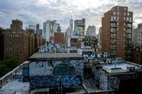 _DSC3953 copy