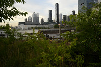_DSC2680