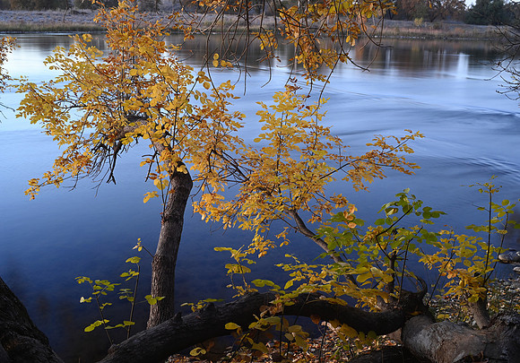 DSC_5324_fall_123