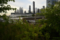 _DSC2681