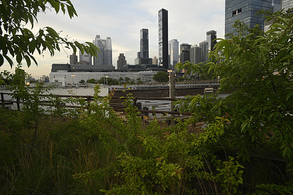 _DSC2682