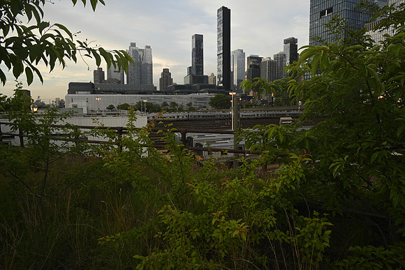 _DSC2683