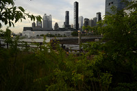 _DSC2685