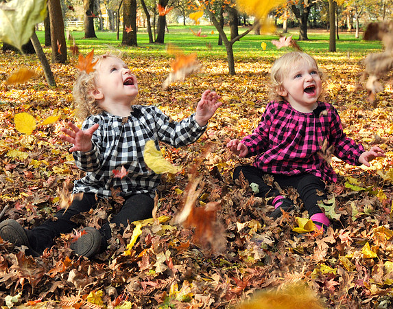 DSC_5602_2_leaves_srgb