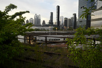_DSC2696